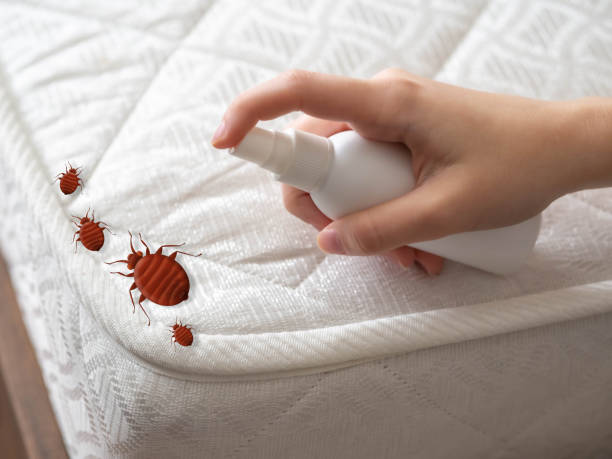 Best Real Estate Pest Inspections  in Chandler, IN